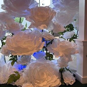 LIVE SHOW…unlisted